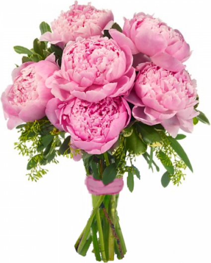 Букет из розовых пионов Букет «Аромат любви»