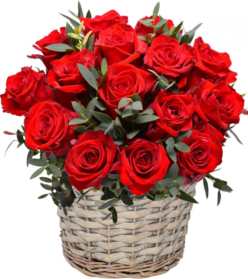 из красных роз и зелени Букет «Идеальный»