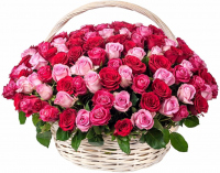 Букет «Созвездие девы» Букет «Созвездие девы»